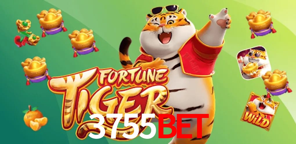 Statistics 3755bet